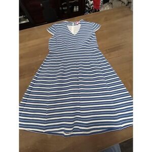 Lilly Pulitzer Dress Womens Large Blue White Striped V Neck A-Line Lined Knit